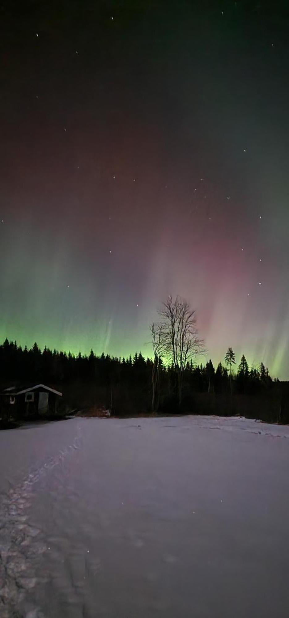 Nygard Cabins - Brandnew, Fully Equipped Home In Nature Sunne Exterior foto