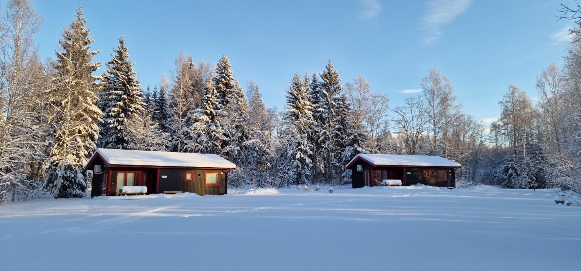 Nygard Cabins - Brandnew, Fully Equipped Home In Nature Sunne Exterior foto