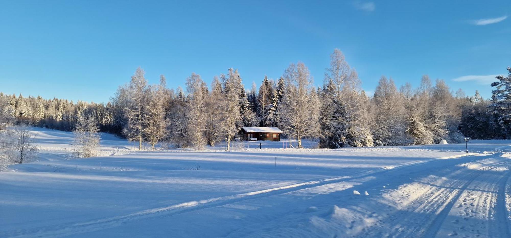 Nygard Cabins - Brandnew, Fully Equipped Home In Nature Sunne Exterior foto